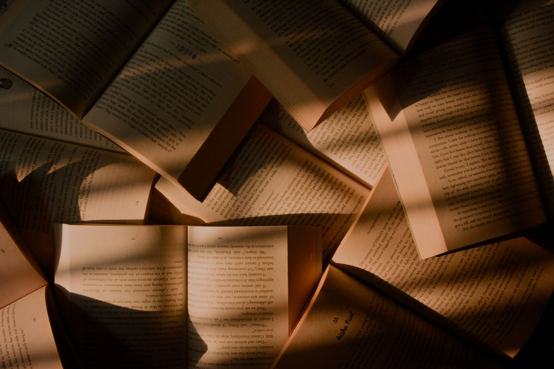 Books I DNF'd